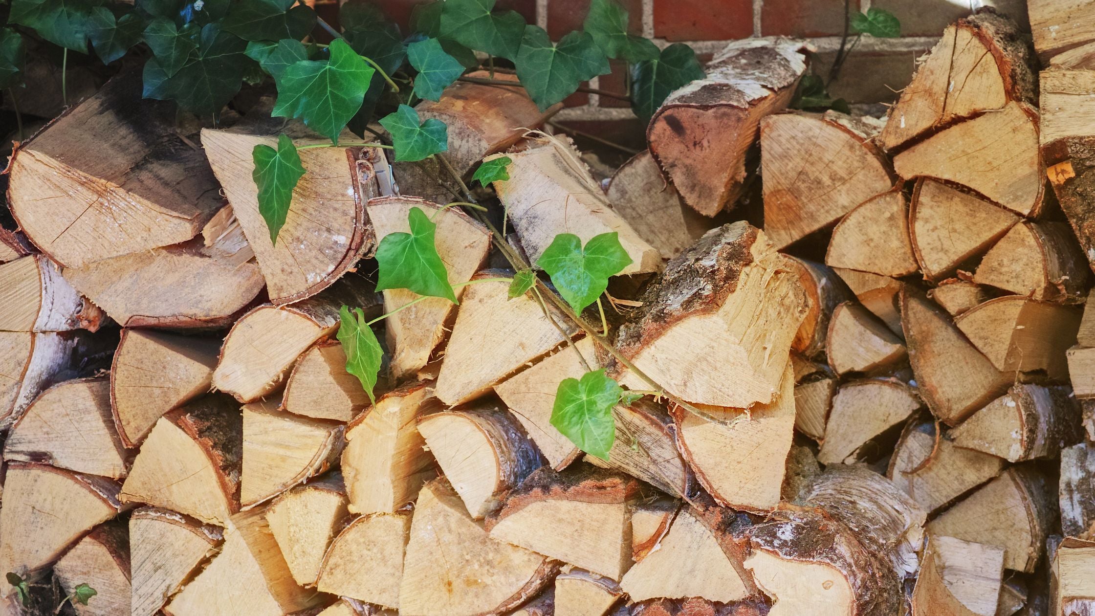 Why bolstering your wood supply in the winter months is a great idea